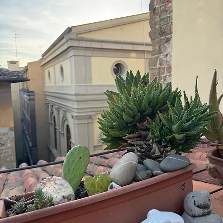 Panorama & Terrace