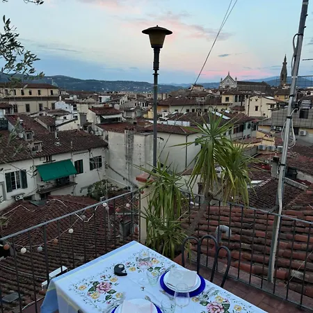 Panorama & Terrace *