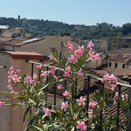 Apartment Panorama & Terrace *